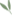 feuilles-verte.png